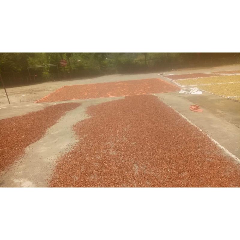 Táo Mèo khô 1kg | BigBuy360 - bigbuy360.vn