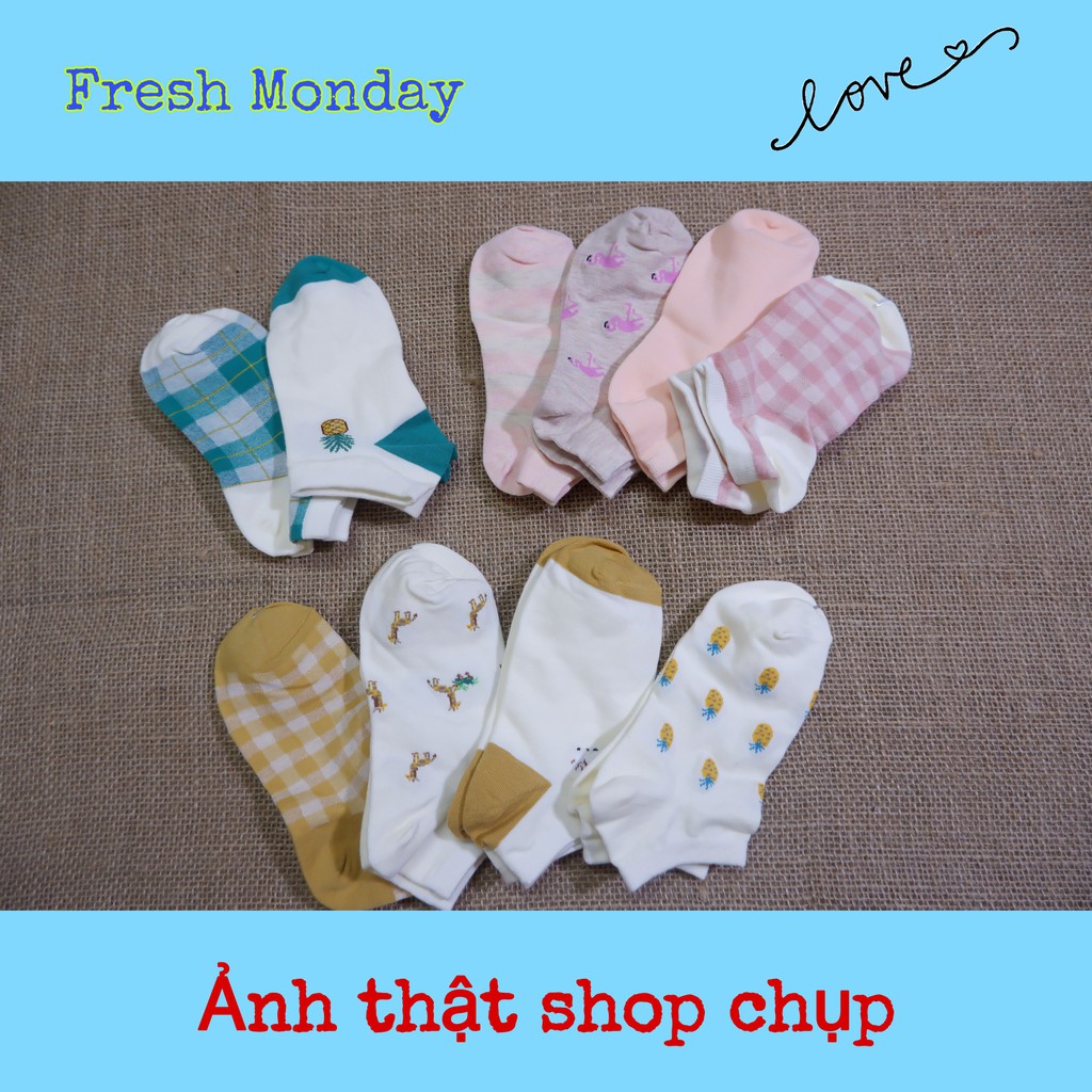 Tất vớ cotton cổ thấp⚡️ 𝐅𝐑𝐄𝐄 𝐒𝐇𝐈𝐏 ⚡️ - Style Hàn Quốc đáng yêu - Mềm mại, thấm hút mồ hôi [ĐƯỢC CHỌN MẪU] Mã TX3