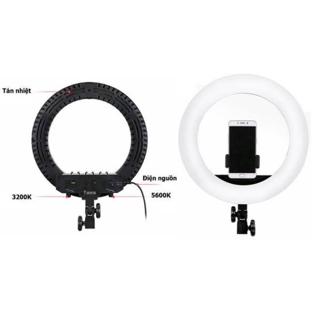 Đèn Led Ring RL-14 Điều Chỉnh 2 Nhiệt Màu Vàng, Trắng Quay Chụp, Makeup HL Lighting
