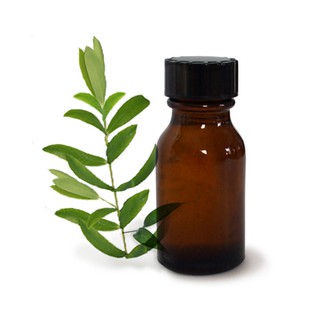 TINH DẦU TRÀM TRÀ (TEA TREE) - LỌ 10ML