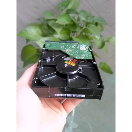 Ổ Cứng 500gb Cũ 3.5 inch Tháo Máy Bộ Desktop | BigBuy360 - bigbuy360.vn