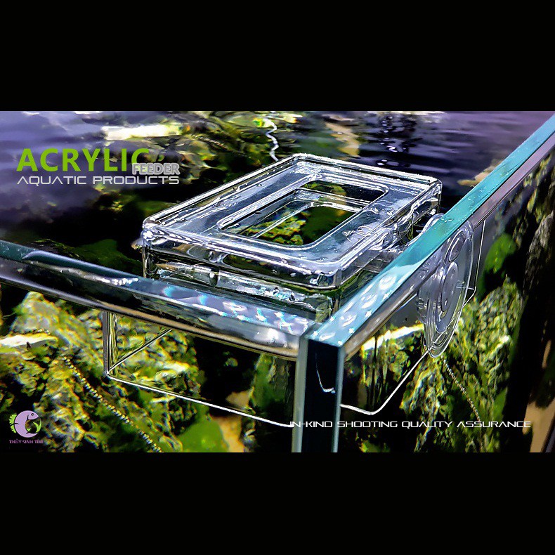 Khay Giữ Thức Ăn Nổi Cho Cá Acrylic Feeder