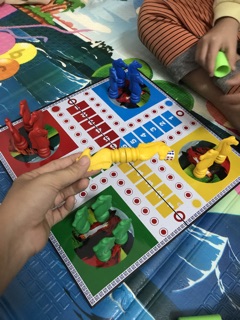 SỈ CỜ CÁ NGỰA CÓ NAM CHÂM