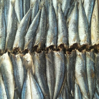 ]600g Khô Cá Nục Loại Ngon Y Hình