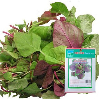Hạt Giống Dền Tiều Cao Sản (Dền Khoang) 20gram