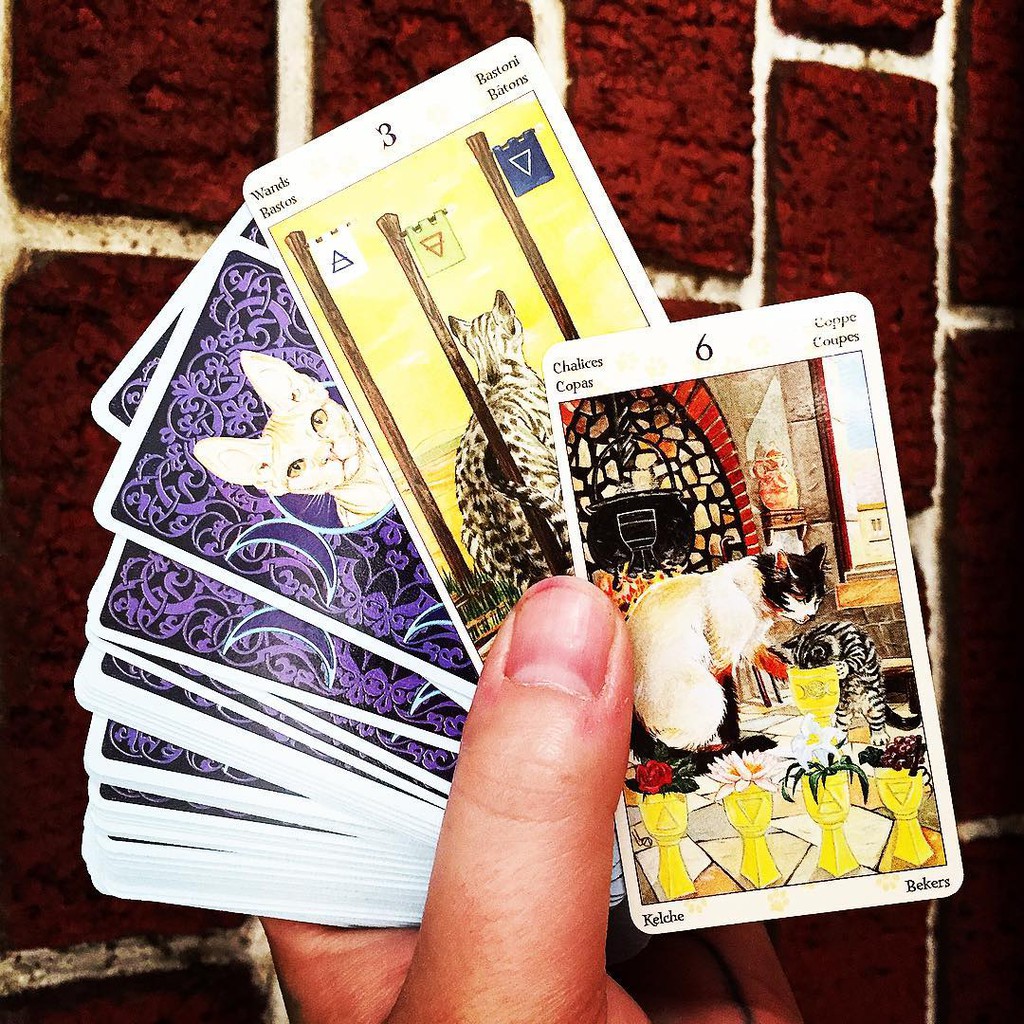 Bài Tarot of Pagan Cats