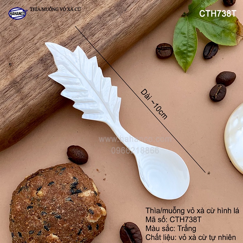 Thìa vỏ xà cừ màu trắng - ăn kem/xúc gia vị/thìa cafe - an toàn cho sức khỏe (CTH738T)