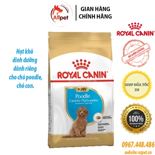 Thức ăn cho chó Poodle - Royal Canin Poodle Puppy 1,5kg. Hạt cho chó poodle - royal canin, đồ ăn cho chó Poodle.