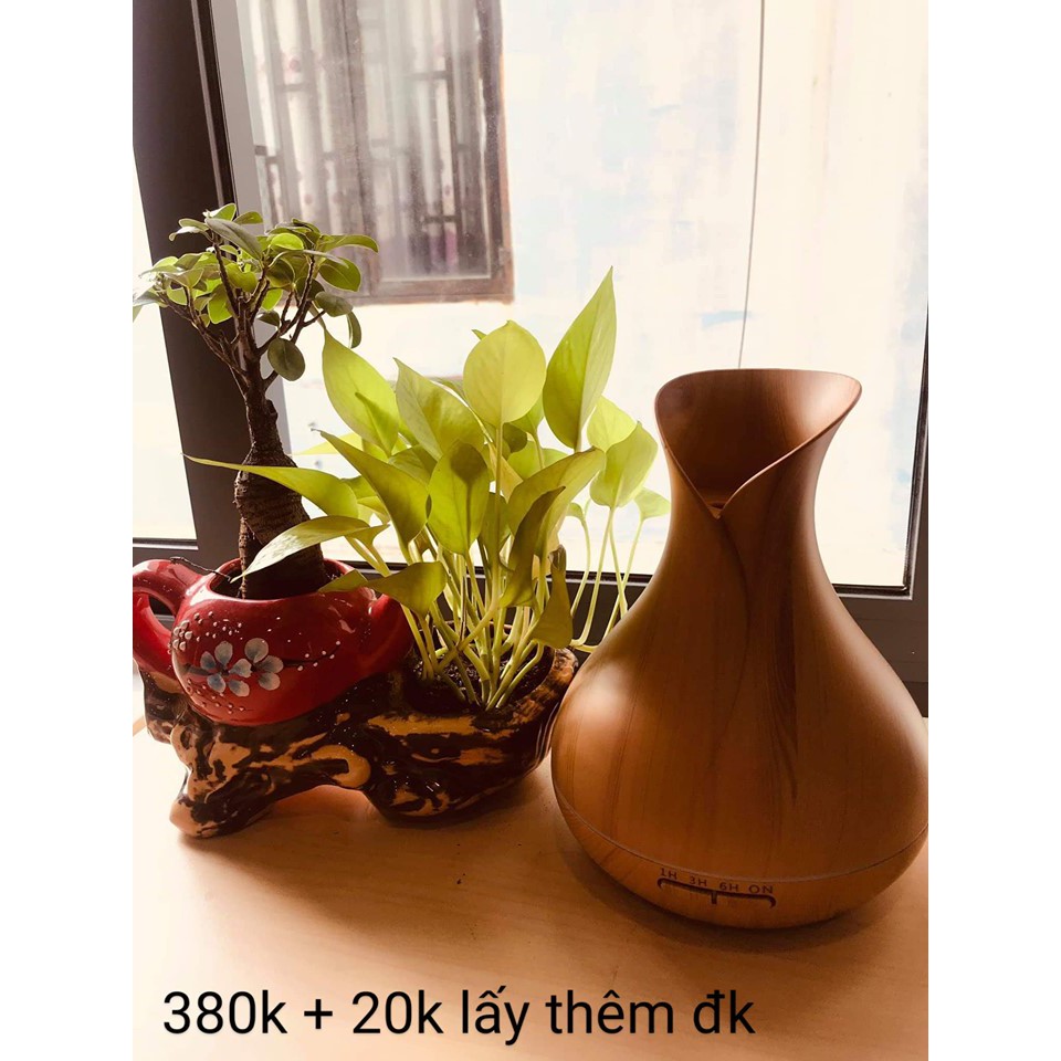 Máy khuếch tán tinh dầu