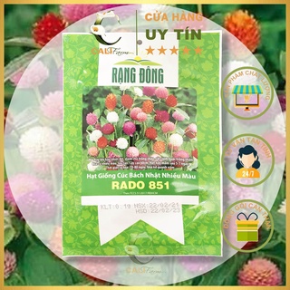 Hạt Giống hoa Cúc Bách Nhật nhiều màu RD 851 gói 0,1gr