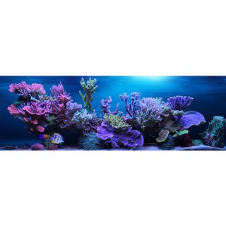 Tranh phông nền 3D VTC dán hồ cá Aqua_047