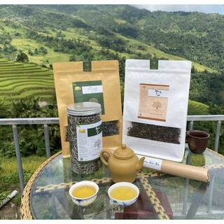 Bạch Trà Trà Shan Tuyết Hà Giang, trà cao nguyên đá hương vị núi rừng