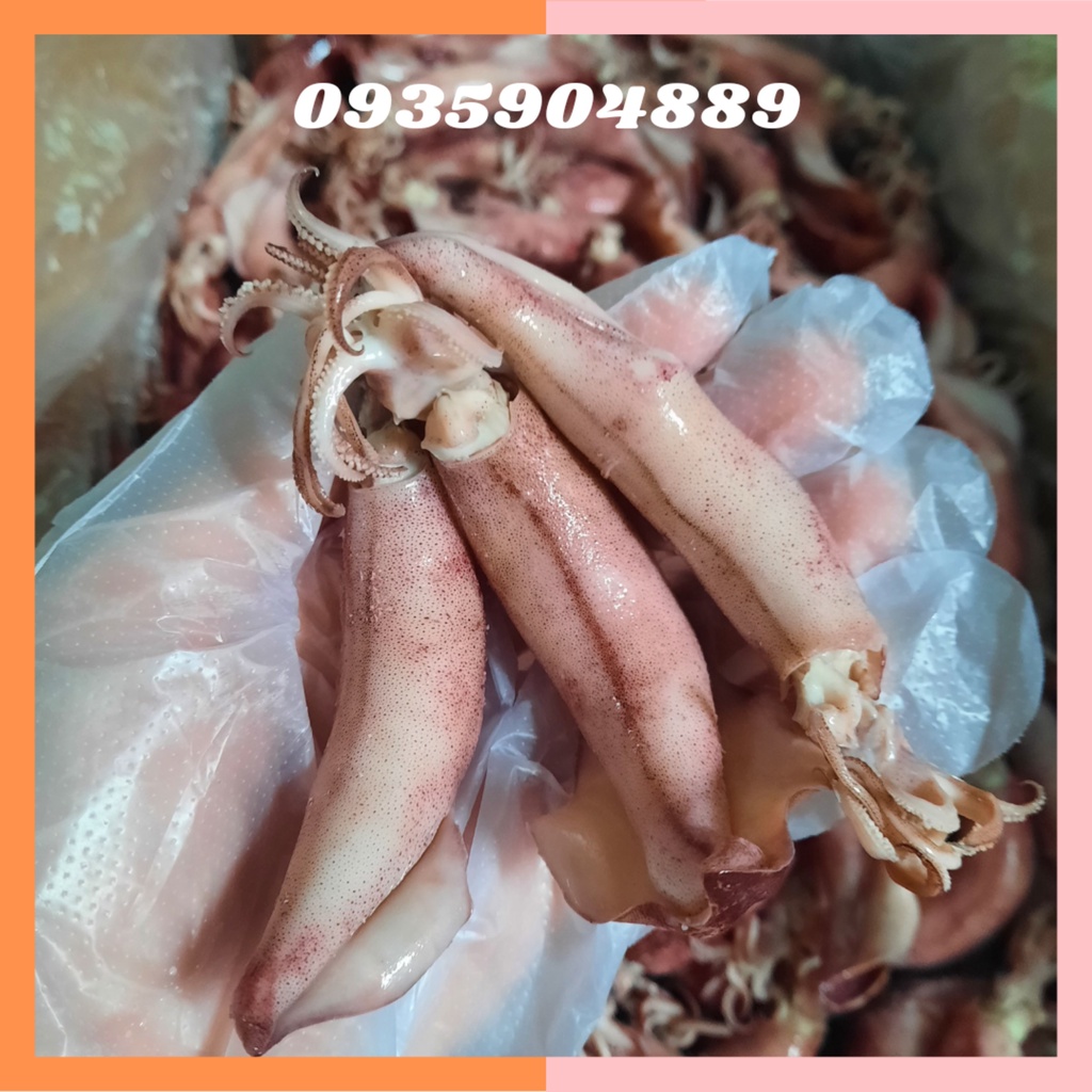 1KG Mực Trứng Hấp Nha Trang - Mực Trứng muối mặn - Đóng gói hút chân không