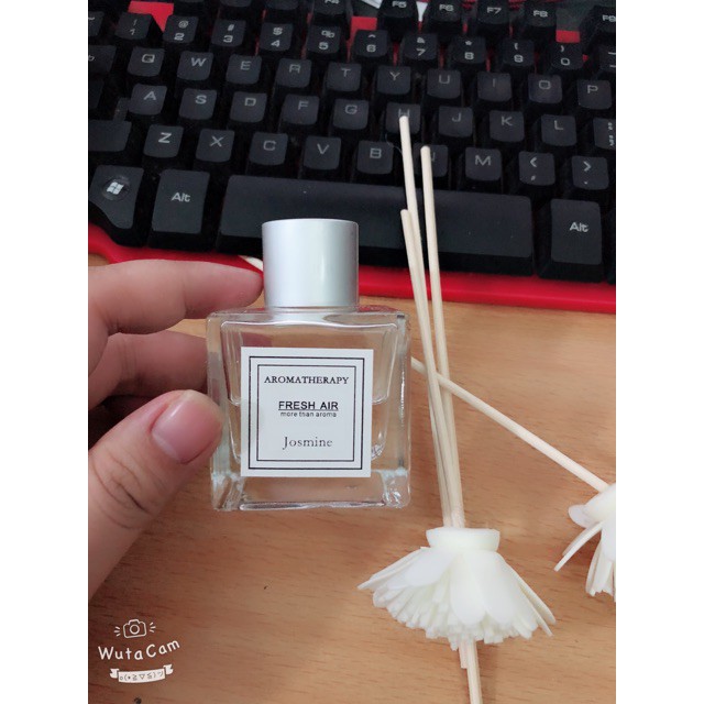 Lọ tinh dầu thơm phòng trang trí sang trọng