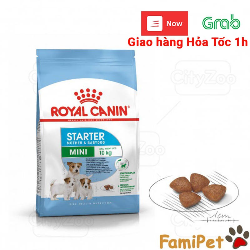 Thức Ăn Khô Cho Chó Royal Canin Mini Starter Mother &amp; Babydog 1Kg