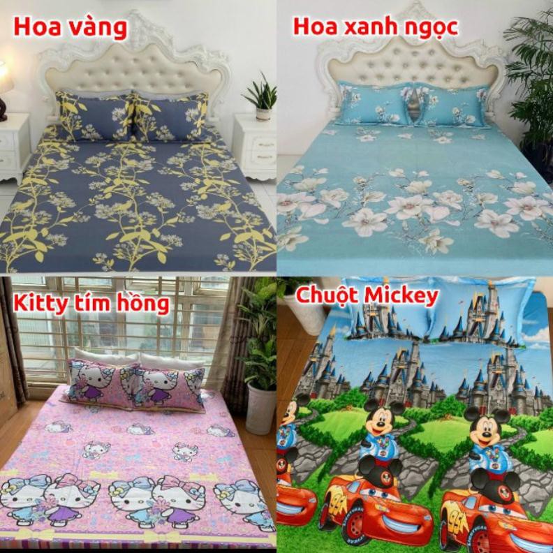 Bộ ga gối cotton 100%, ga giường cotton đẹp mát bo chun đủ size nệm 1m2 1m4 1m6 1m8 2mx2m2 DREAMHOME