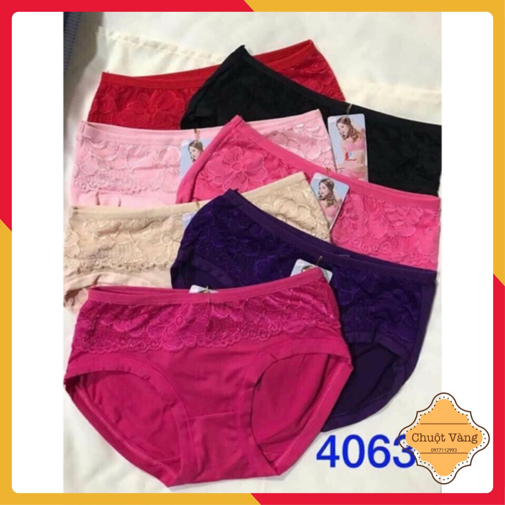 Combo 10 quần lót nữ cotton co giãn bigsize 4063