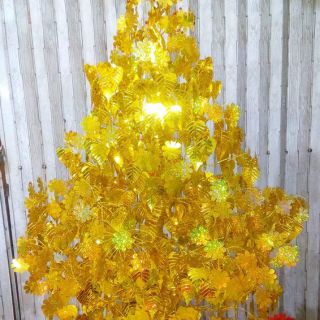 Cành vàng lá ngọc combo