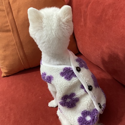 Áo khoác bông họa tiết hoa dành cho thú cưng