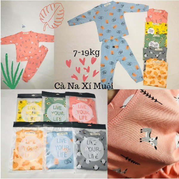 Bộ Minky Mom 𝑭𝑹𝑬𝑬𝑺𝑯𝑰𝑷[XEM SP TRƯỚC KHI THANH TOÁN]Bộ Thu Đông Dài Tay Họa Tiết Trái Cây Dể Thương Cho Bé