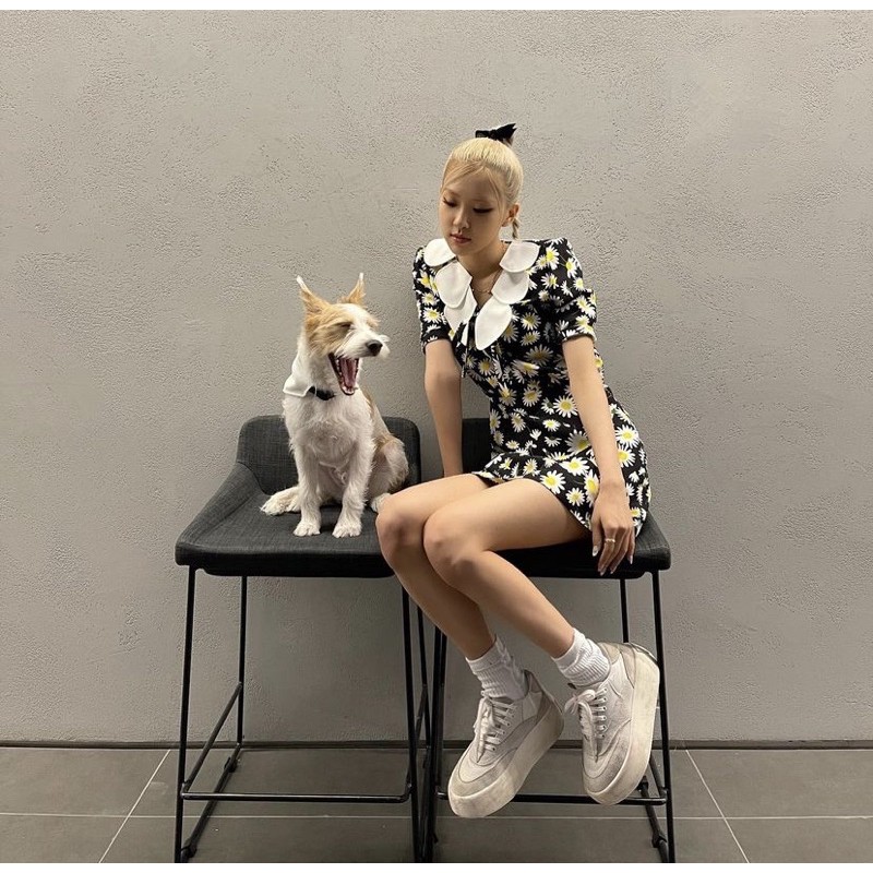 sẵn. Giày ROSE (blackpink) 😜 giày rosé | đế bánh mì 😘 thể thao trắng | BigBuy360 - bigbuy360.vn