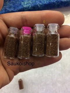 Hạt giống cỏ Trân châu nhật
