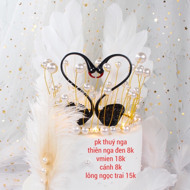 5 Đôi thiên nga trái tim đen,trắng