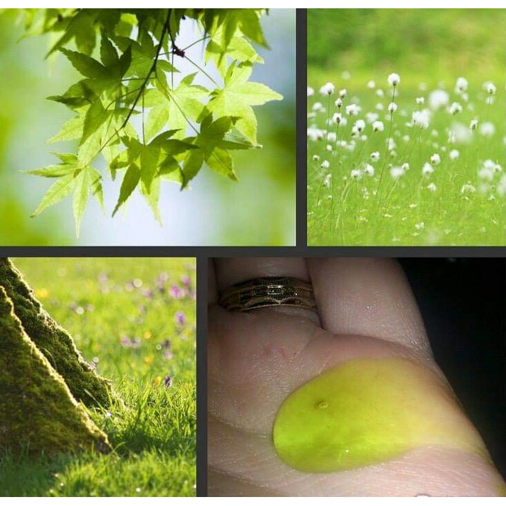 Gel rửa mặt Himalaya với lá Neem Ấn Độ 150ml ( bản Nga ) | BigBuy360 - bigbuy360.vn