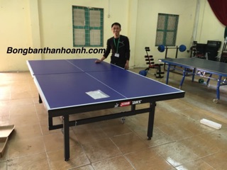 Bàn bóng bàn DHS-1024