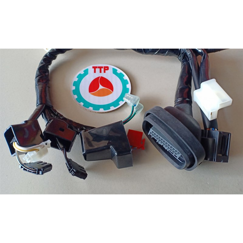 Dây điện bình Winner X zin chính hãng