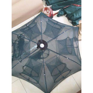 Lưới bát quái bắt cá