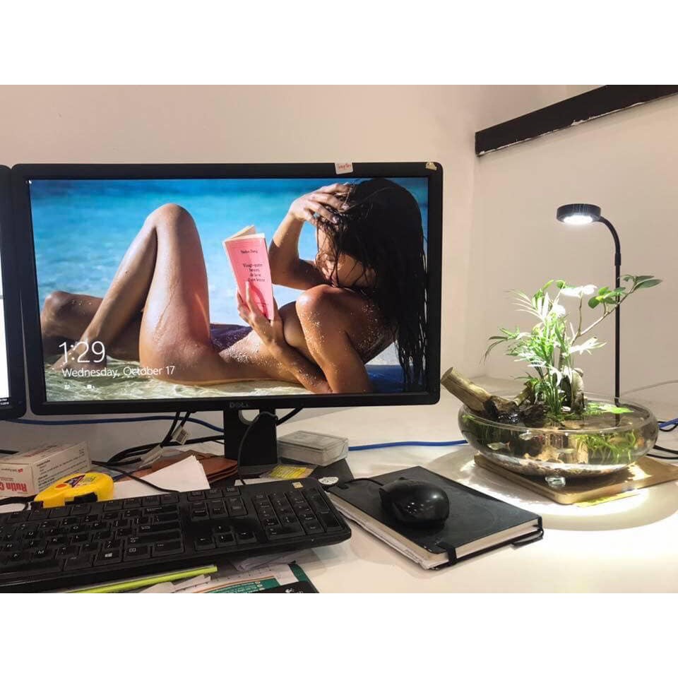 Đèn thuỷ sinh, đèn tiểu cảnh đèn trang trí đế gỗ, 3 chế độ màu