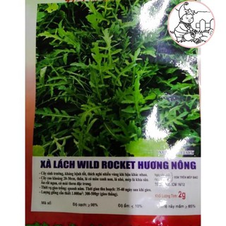HẠT XÀ LÁCH ROCKET - GÓI 2 GRAM