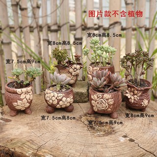 Chậu Hoa Bằng Gốm Sứ Phong Cách Hàn Quốc Cổ Điển Sáng Tạo