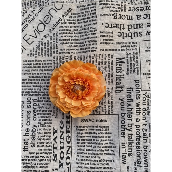 Đầu Bông Trà Tràm Cao Cấp Decor Trang Trí Cắm Hoa | Hà Hoa Flower