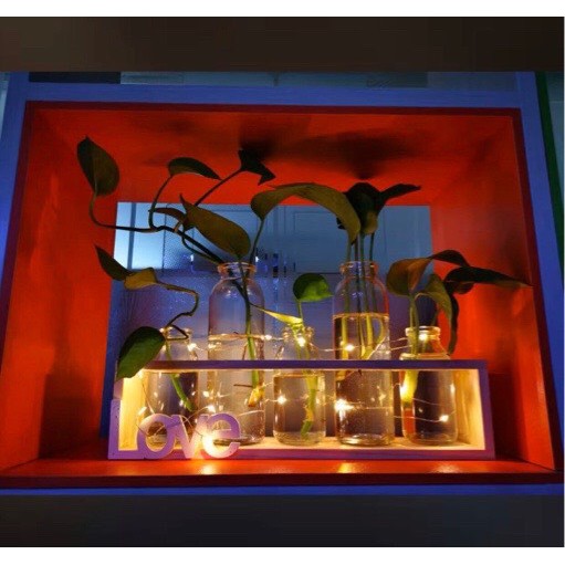 PVN15118 Bộ cắm hoa, trồng cây màu gỗ tự nhiên T2