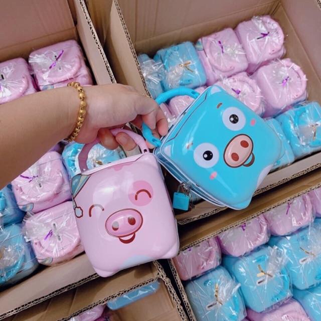Combo két lợn mini cho Loan