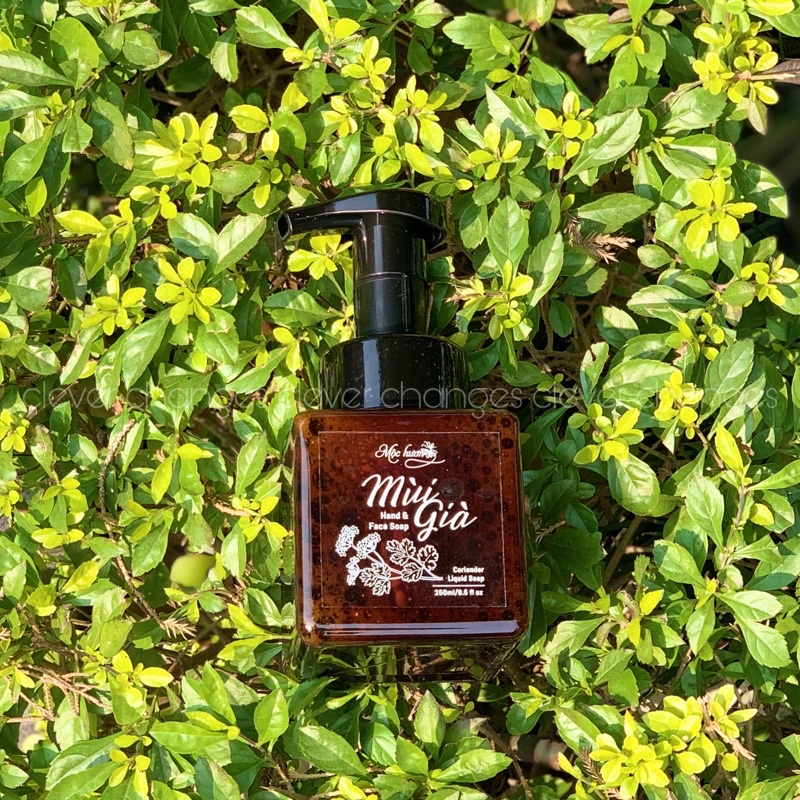 Sữa rửa mặt tạo bọt Mùi già Mộc Hương 250ml