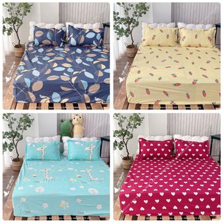 Ga Trải Giường 💝 FREESHIP 💝 Drap Giường + 2 Vỏ Gối Cotton 3D Mềm Mịn, Không Bai Xù, Chống Nhăn - IBox Hoặc Ghi Chú Mẫu