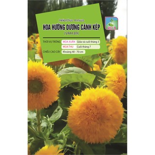 Hạt giống Hoa Hướng Dương Cánh Kép (VAH.89) – 20 Hạt