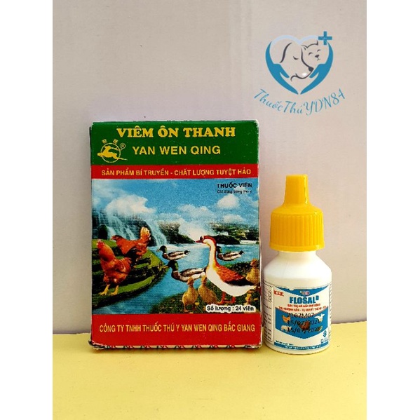 COMBO FLOSAL D VÀ VIÊM ÔN THANH (24 VIÊN)