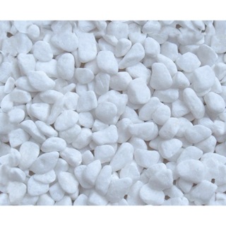 Sỏi trắng trang trí(1kg2)