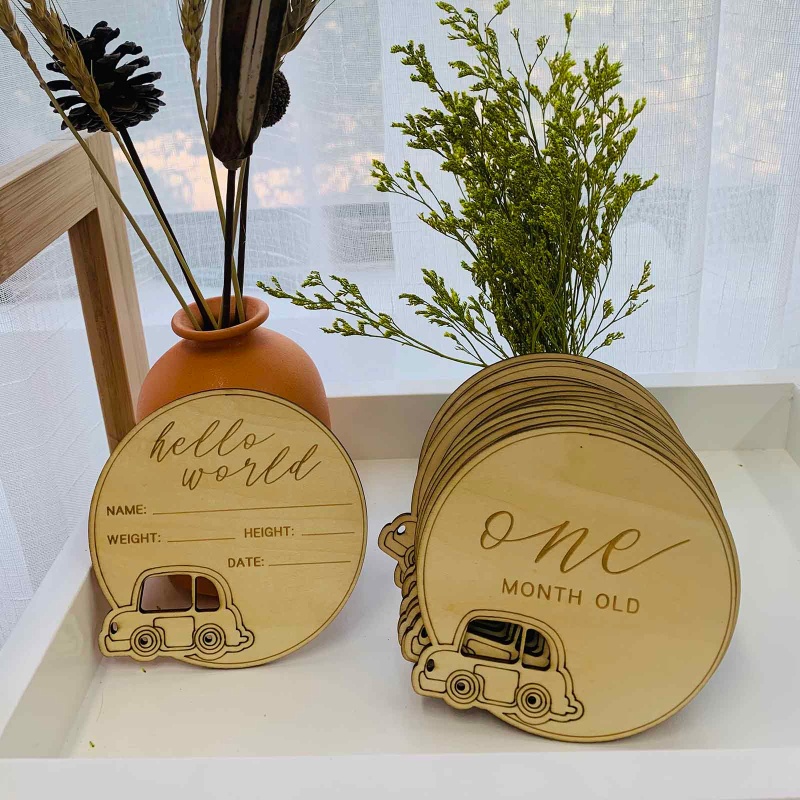 Bộ 14 Thẻ Ghi Chú Đánh Dấu Cột Mốc Phát Triển Theo Tháng Cho Bé