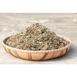Cây ngải cứu khô
