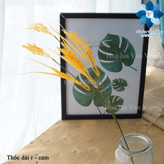 Hoa Nhựa 🌺 Cành Lúa Thóc Giả, Bông Lúa Nhân Tạo