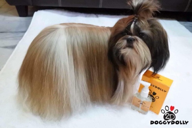 DẦU DƯỠNG MƯỢT LÔNG DOGGY DOLLY