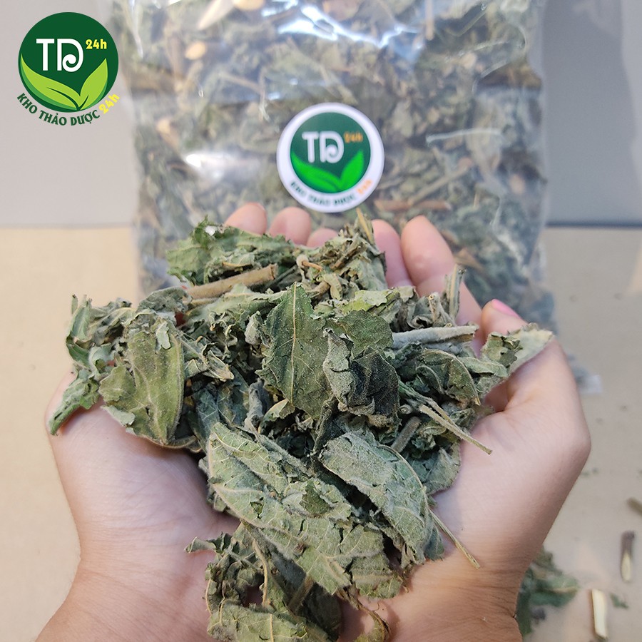 Cây An Xoa Khô Hòa Binh, thảo dược quý làm mát gan, giải độc, tăng cường chức năng gan I Kho thảo dược 24h