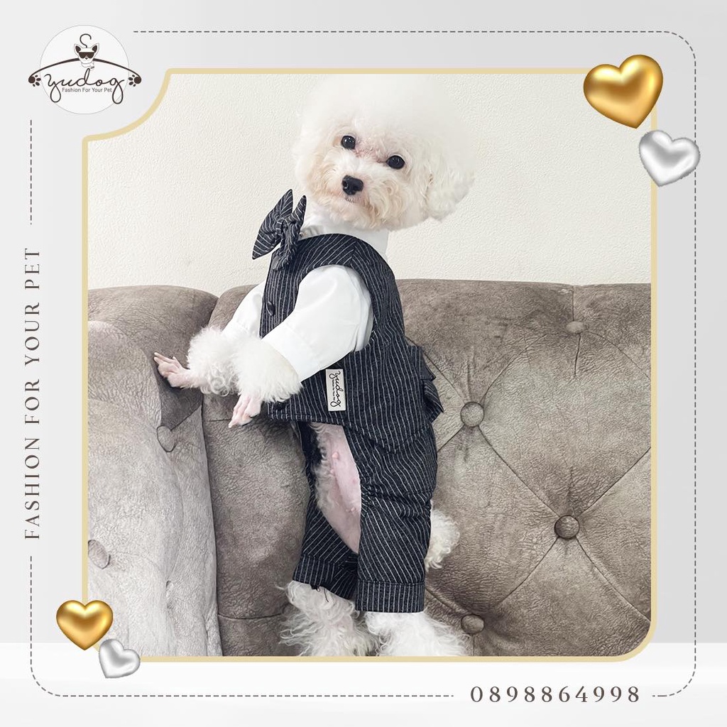 Set ghile - bộ vest dành cho thú cưng chó mèo yudog