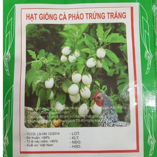 Hạt Giống Cà Pháo Trắng - 1 gói 0,5gram (TẶNG gói kích thích hỗ trợ hạt nảy mầm)