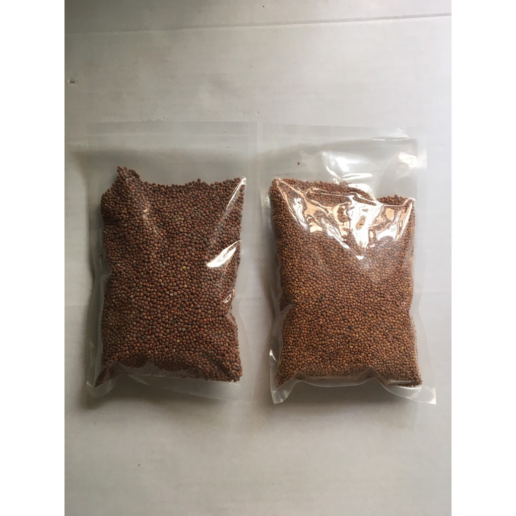 Hạt giống trồng rau mầm tại nhà gói nữa kg